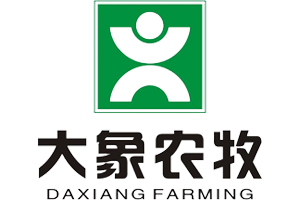Daxiang Group