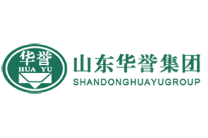 Shandong Huayu Group